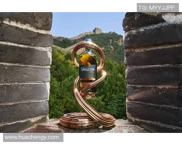 围绕足球明星展开的绿茵传奇成长与荣耀故事深度探索之旅全景篇章 围绕足球明星展开的绿茵传奇成长与荣耀故事深度探索之旅全景篇章